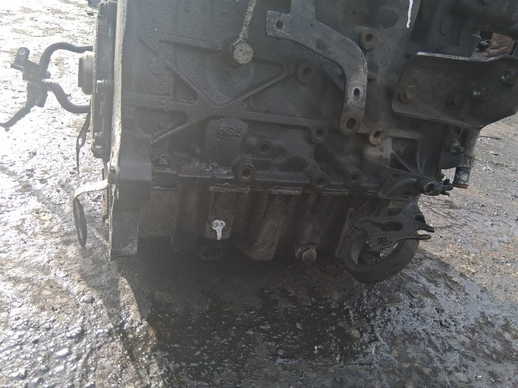 Image #15