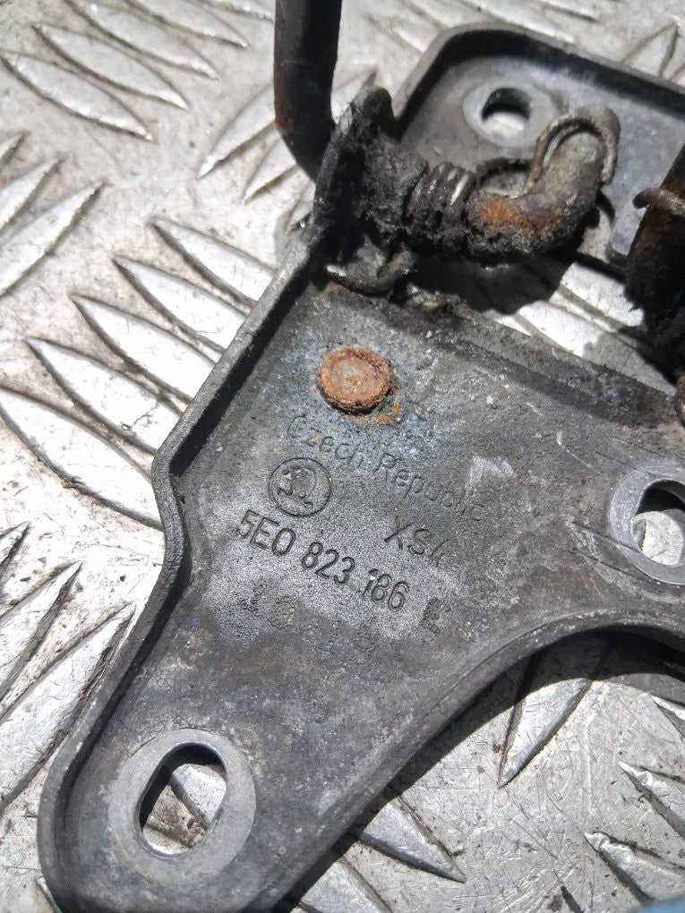 Image #6