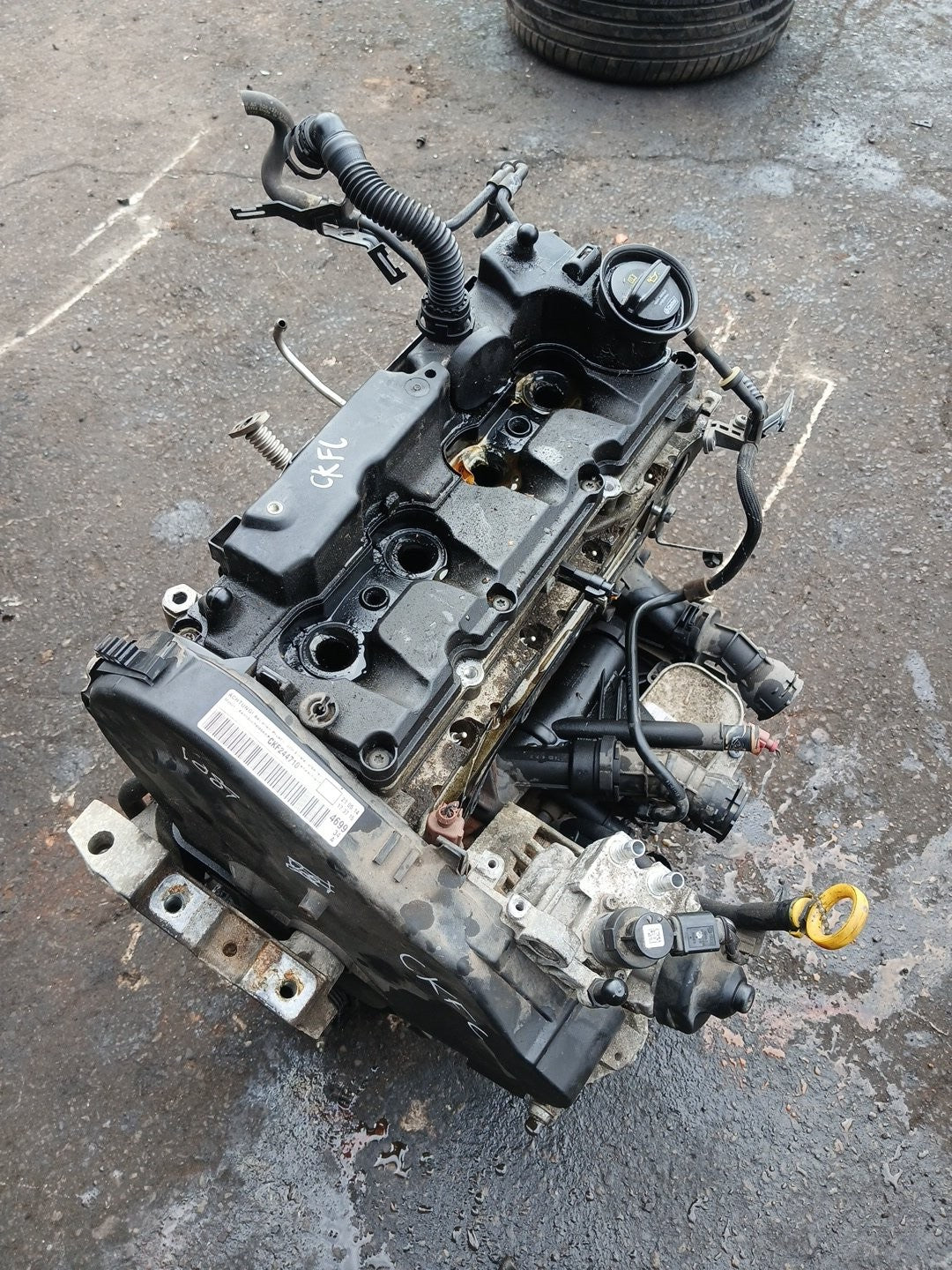 Image #2