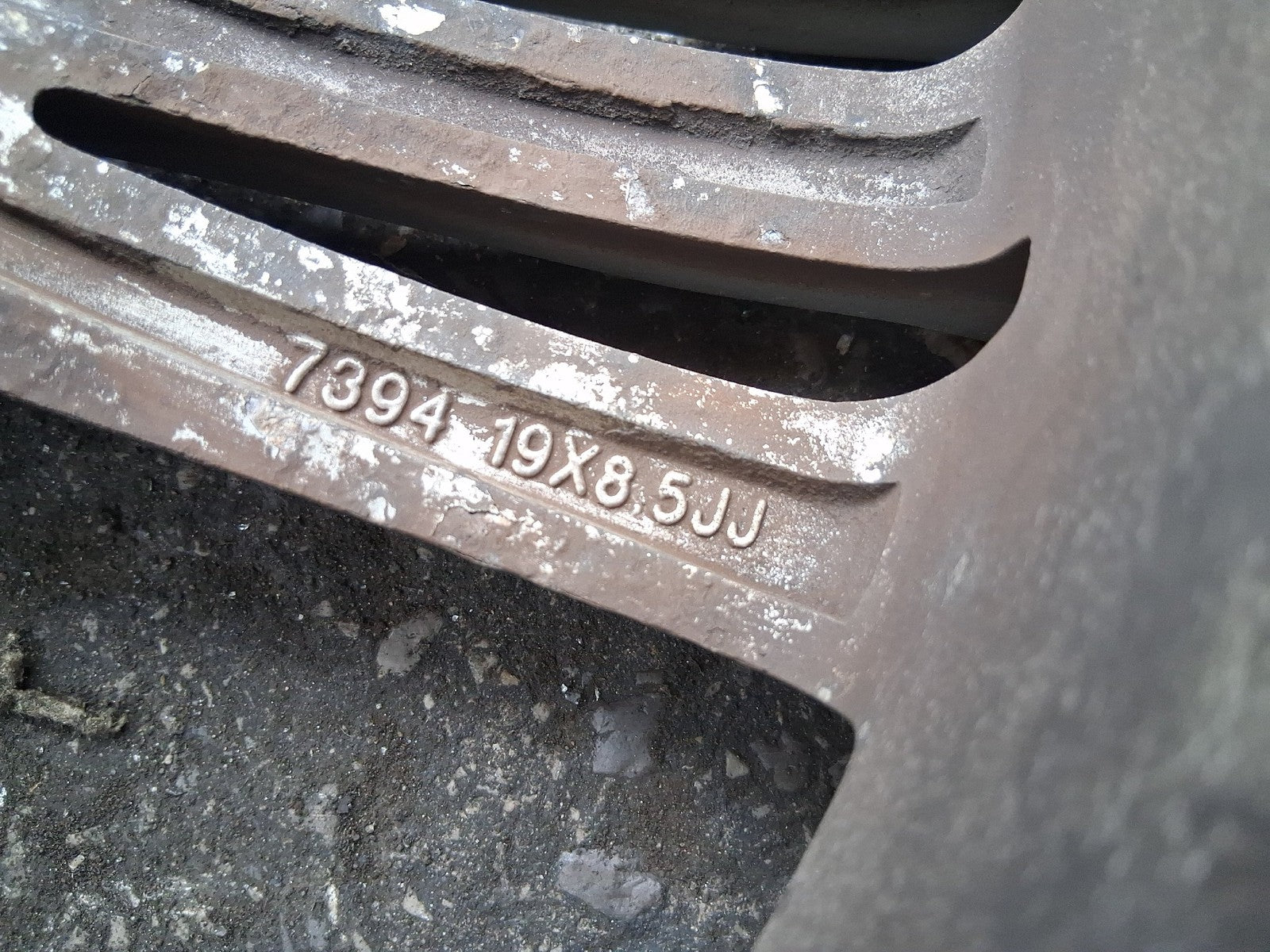 Image #8